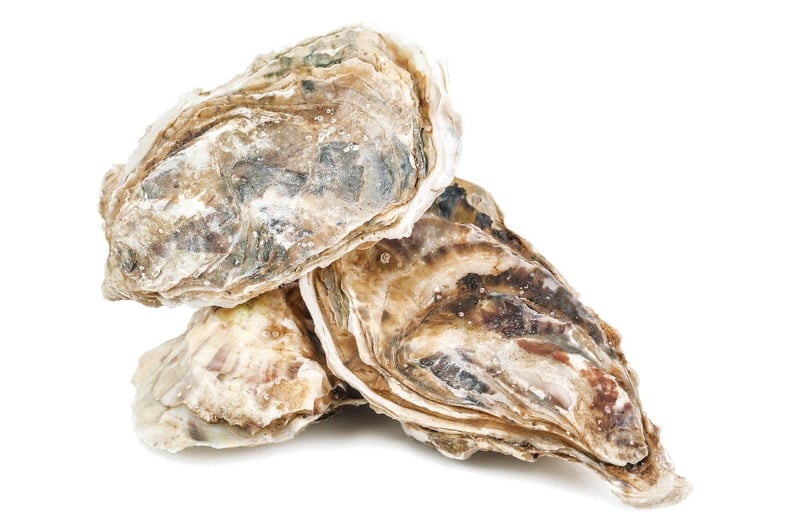 About Cape Cod Oyster Company